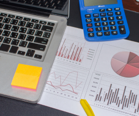 Secure Remote Virtual Accounting Services